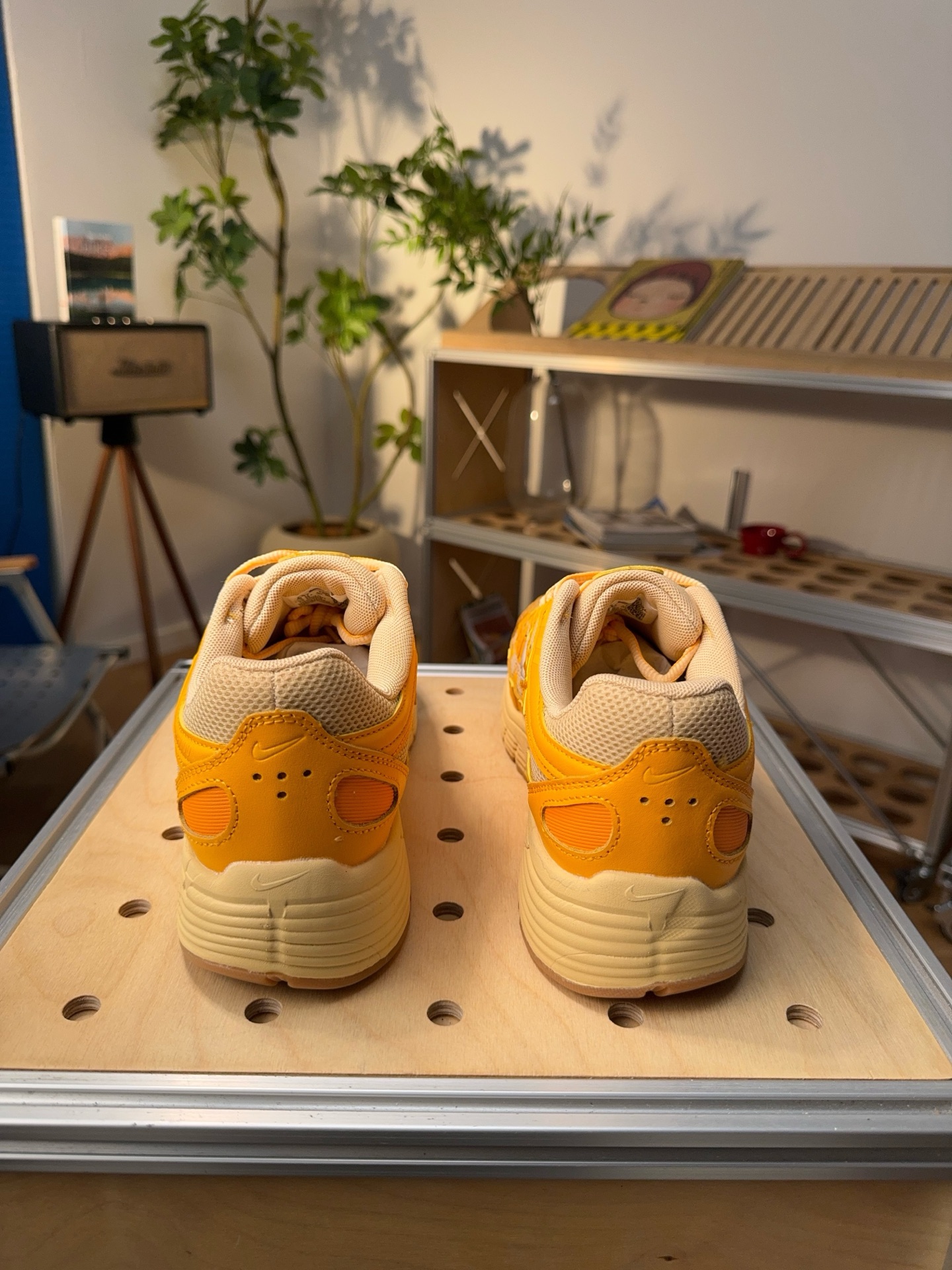 Nike Jordan